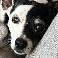 Marty Ungoff (@fobrichx) 's Twitter Profile
