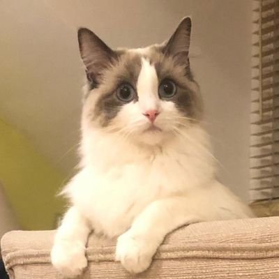 oab0403's profile picture. 