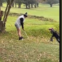 dale chadwick (@daleboii7) 's Twitter Profile