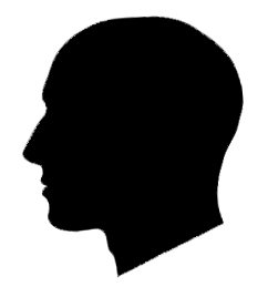 @gulnor