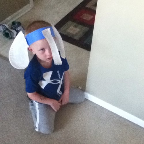 ni368martin's profile picture. 