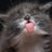 AdamzQaiba's profile image