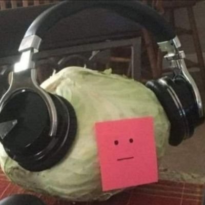 Lokoio5's profile picture. Fã de Metal Slug
🇧🇷
#MetalSlugForever
.    .    .
 #メタスラ