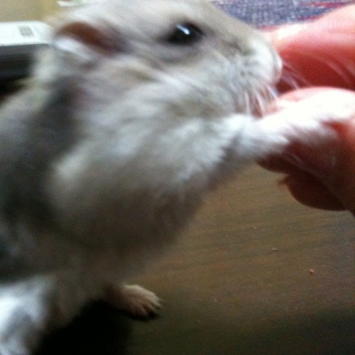 100points10's profile picture. リストって便利な機能があったとは…