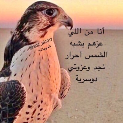 نـقـعــد ســلاطـيـن و نـمـشـي سـلاطـيـن أمـــا سـمــا ولا عــلـى روووس الـجــبــال*الخاص مهمل*