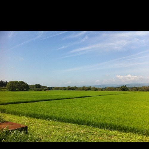 松浦じゅんこ Mamedaihuku0317 Twitter