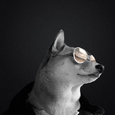 xTheSunny's profile picture. 