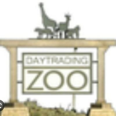 daytradingzoo Profile Picture