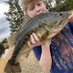 Weston Mayhew (@mayhewweston) Twitter profile photo Weston Mayhew (@mayhewweston) Twitter profile photo