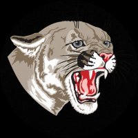 Cougar Pride Athletic Booster Club(@VanWertCougars) 's Twitter Profile Photo