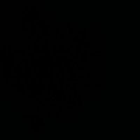 Erkek Ayağı Fetişizmi (@fetiscibirbay) Twitter profile photo