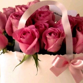 N_Alnaim's profile picture. ‏‏‏‏ام لأربعة ابناء محبة للحريه واكره القيود أحب الطبخ والموضه وكل ماهو غريب واعشق السفر ومغرمه في الأزهار والمسطحات الخضراء وزقزقة العصافير ♥