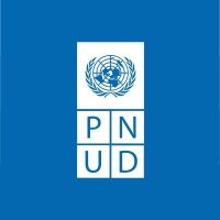 PNUD Perú(@PNUDperu) 's Twitter Profileg