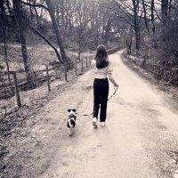 Alison Loftus (@alisonloftus1) 's Twitter Profile Photo Alison Loftus (@alisonloftus1) 's Twitter Profile Photo
