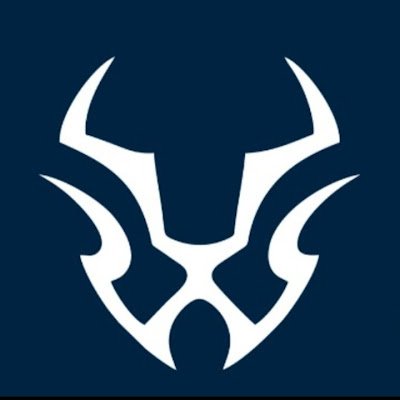 CapitalBitex's profile picture. 