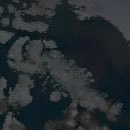 TD8904's profile picture. 