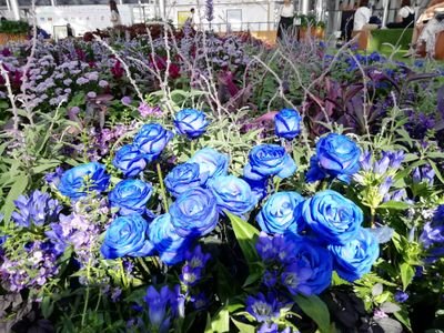 zzz38081847's profile picture. 