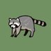 あらい (@___racccoon) Twitter profile photo あらい (@___racccoon) Twitter profile photo
