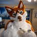 Kota (@kotahusky) Twitter profile photo Kota (@kotahusky) Twitter profile photo
