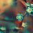 bees_3's profile image