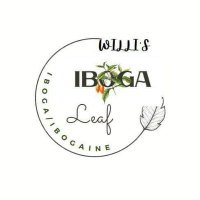 Willi Iboga/Ibogaine(@WilliIboga) 's Twitter Profile Photo