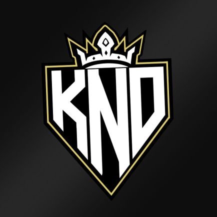 KingsNeverDie_ Profile Picture