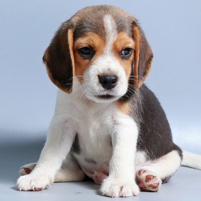 matt_wutrudoing's profile picture. software guy; I got n answers and 2ⁿ questions