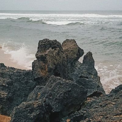 pimall2's profile picture. in fact solitude is the best friend