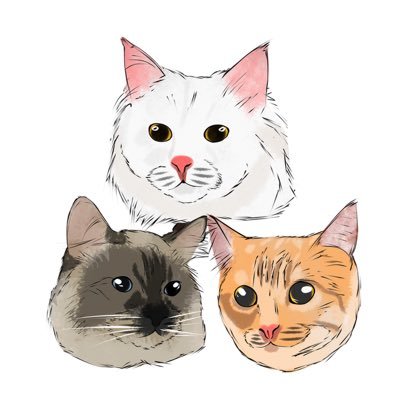 📩 purrkiddos@gmail.com • responsible pawrent of 3 cats: bennett, chongyun, sayu. provet. prosteril.