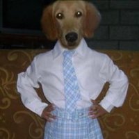 gabriel (@gabrielnathan_) 's Twitter Profile