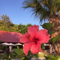 清史郎@子育てと趣味 (@seishirou777) 's Twitter Profile Photo