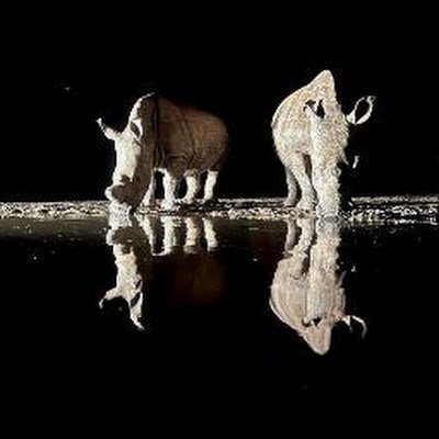 Mosesoyoo95Oyoo's profile picture. 