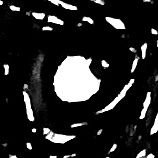 DiaDeBolos's profile picture. 