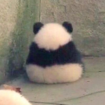 Zoodiacal's profile picture. 
