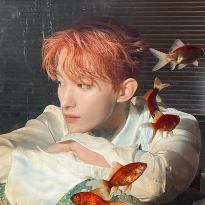 c h i n ☀️ 💕さんのプロフィール画像