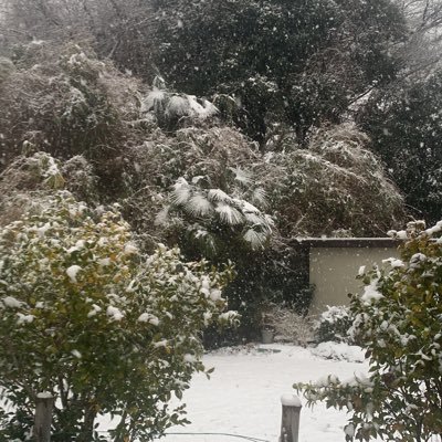 PROGRESStamazak's profile picture. 