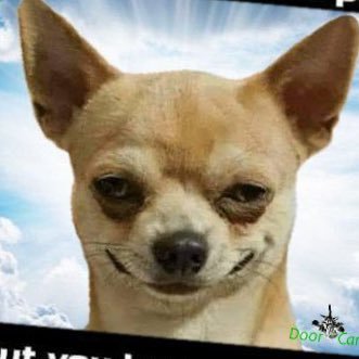 eheims's profile picture. “A fool takes no pleasure in understanding but only in expressing personal opinion.” Proverbs 18:2.