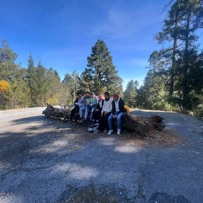 AlejandroBerMar's profile picture. Getting by, looking ahead, the day I die/Lamentablemente no me gusta la gente/el kermu/ @heyitsdags♥️. https://t.co/BmCYQToBrk