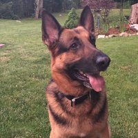 Natalie B (@natesca19) 's Twitter Profile