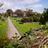 KilrushTidyTown's profile image