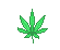 Follow for updates on new Cheap Bongs!