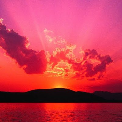 Kunal12670598's profile picture. 