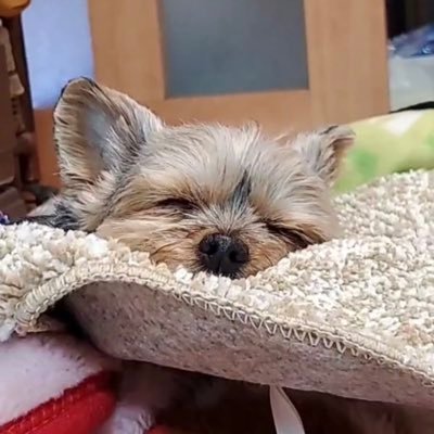 むねまささんのプロフィール画像