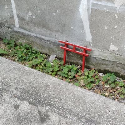 oharaisi5342's profile picture. 自己流ではありますけど、お祓いを生業にしております。