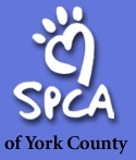 Tackling animal over-population in York County, PA. Seeking adoptive families for dogs, cats, horses, rabbits, etc.  Funders wanted!