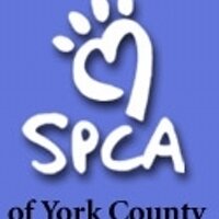 York County SPCA (@yorkcospca) 's Twitter Profile
