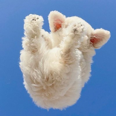 leonone777's profile picture. Reddio fuck