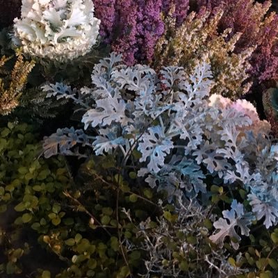 flowee143's profile picture. 