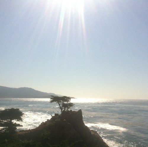 NikRyan312's profile picture. 