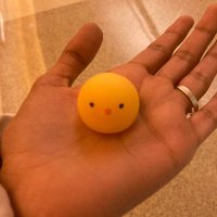 gummy the squishy duck:)(@travelsofgummy) 's Twitter Profile Photo